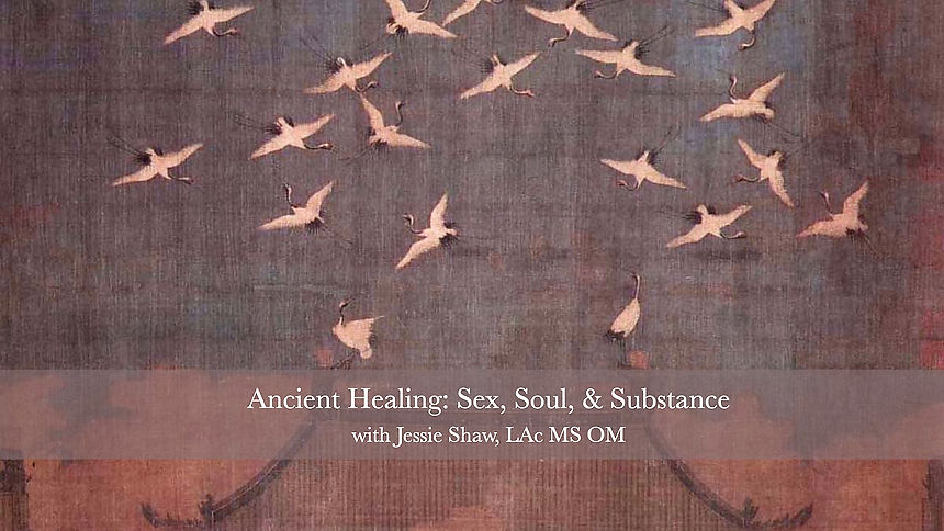 Ancient Healing Trailer
